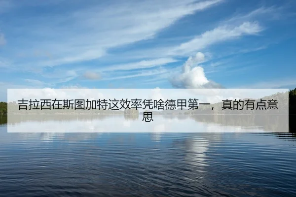 ji-la-xi-zai-si-tu-jia-te-zhe-xiao-lv-ping-sha-de-jia-di-yi-zhen-de-you-dian-yi-si-2-903.jpg