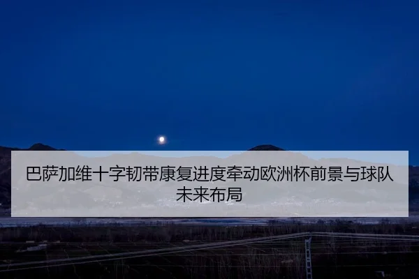 巴萨加维十字韧带康复进度牵动欧洲杯前景与球队未来布局